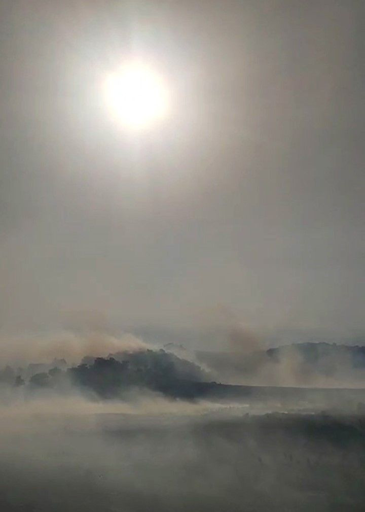 Bir orman yangını da Aksaray'da - Resim: 6