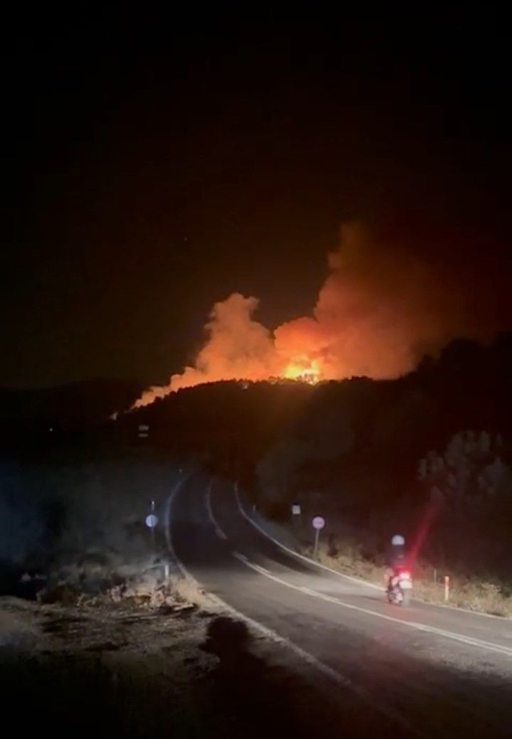 Çanakkale’de orman yangını çıktı - Resim: 4