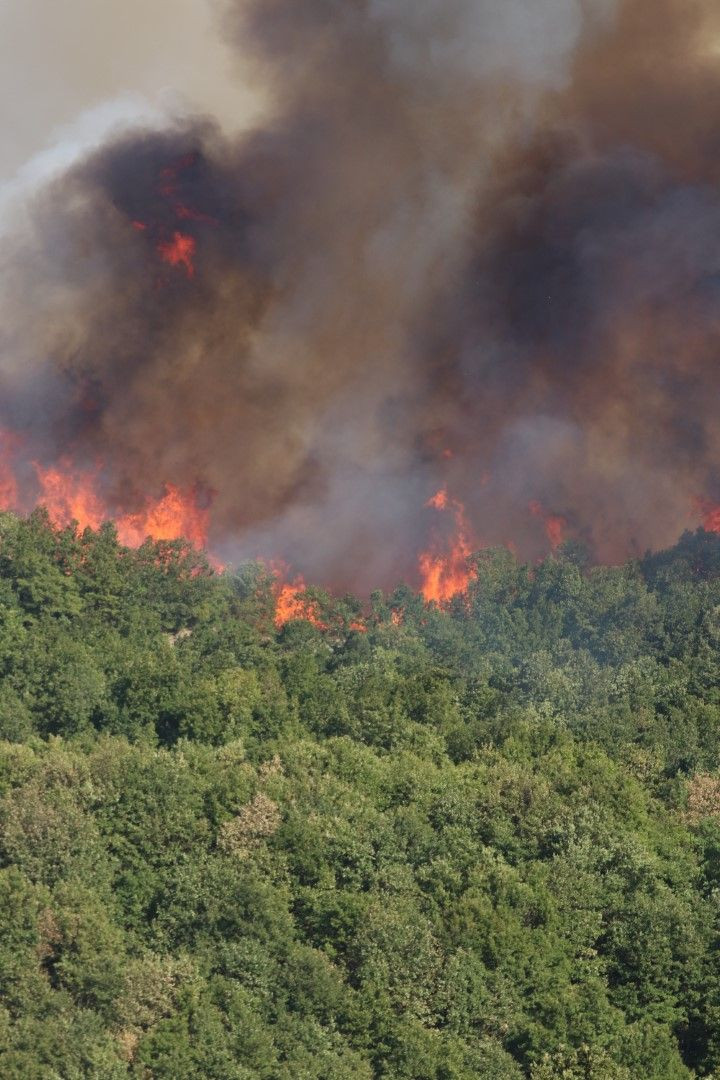 Kocaeli'de çıkan orman yangınına müdahale ediliyor - Resim: 18