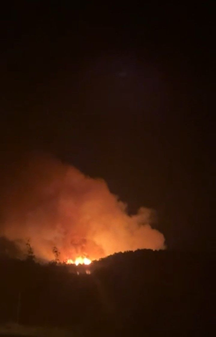 Çanakkale’de orman yangını çıktı - Resim: 5