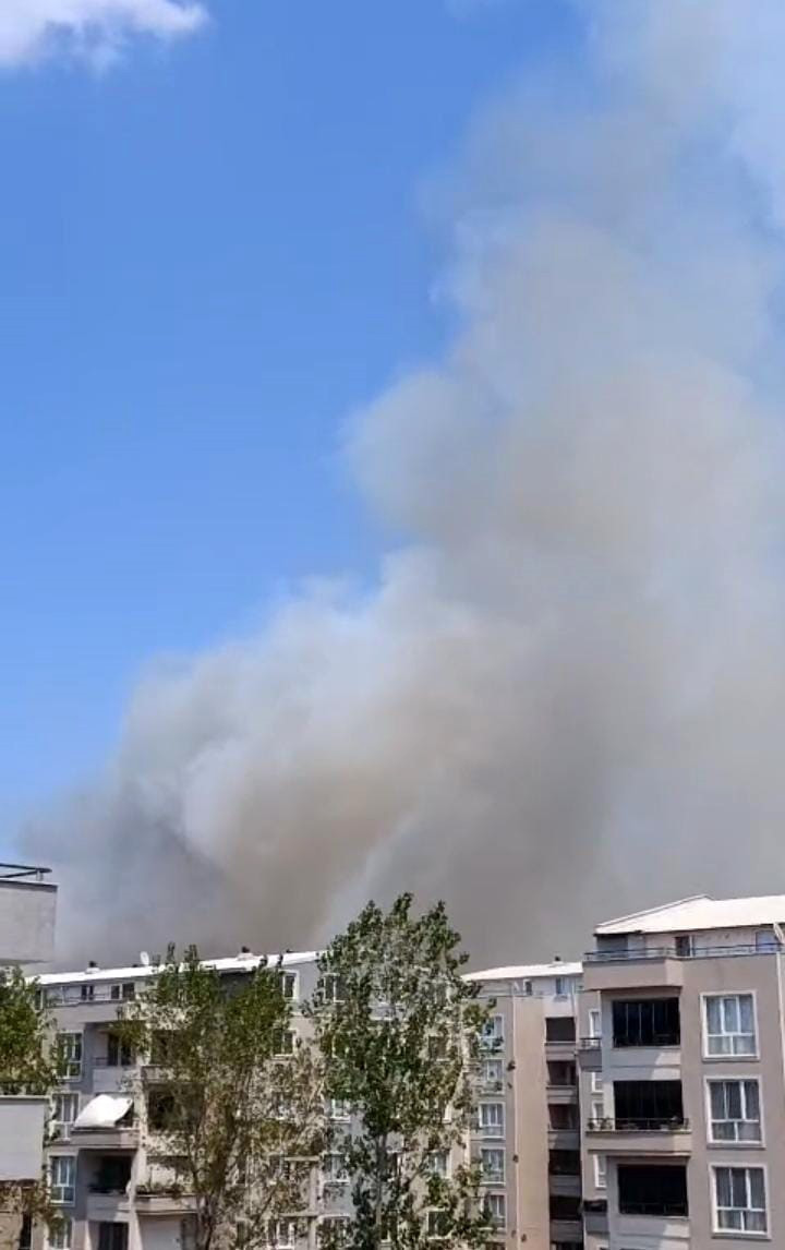 Bursa'da orman yangını - Resim : 2