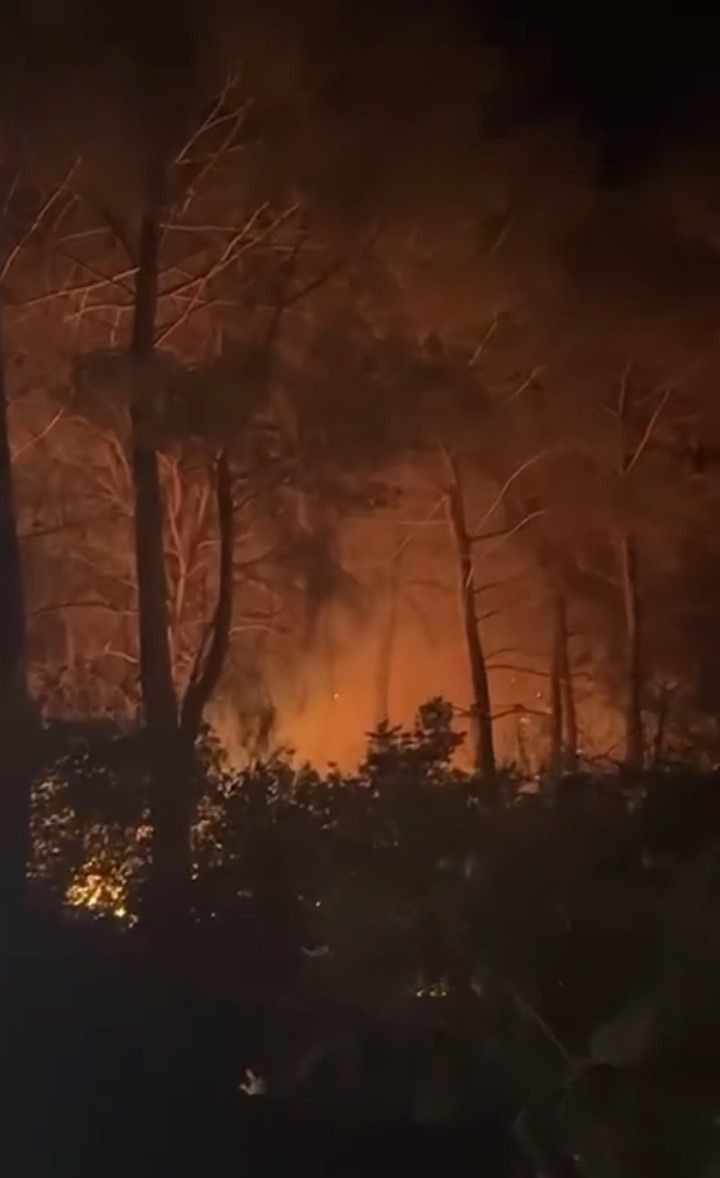 Çanakkale’de orman yangını çıktı - Resim: 1