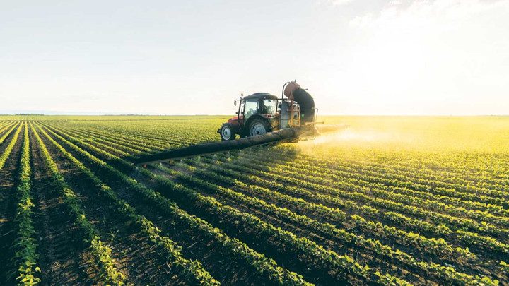 FAO'dan Türkiye'ye 8,1 milyon dolarlık kaynak