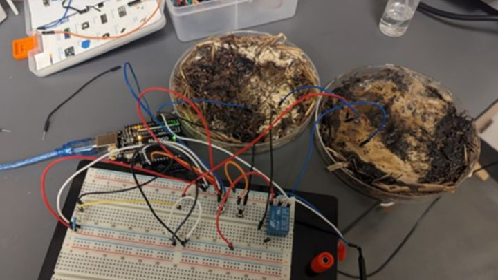 Mantarla çalışan bilgisayar belleği geliştirildi