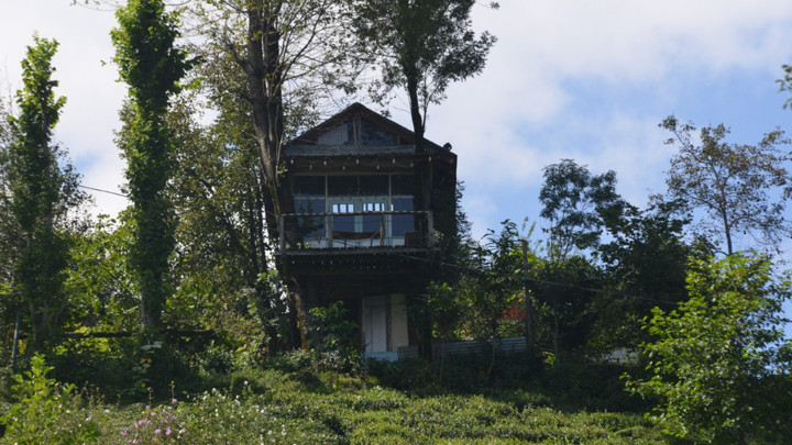 Hayalleri gerçek oldu: Çöpten ağaçkondu yaptılar