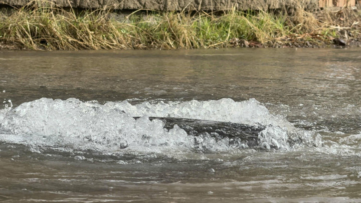 Bodrum’da yine aynı hat patladı: Evler sular altında kaldı