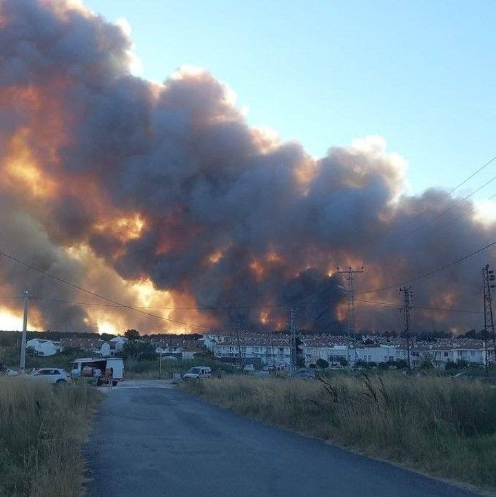 Edirne'deki orman yangını büyüyor - Resim: 10