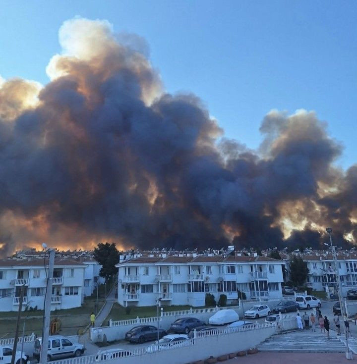 Edirne'deki orman yangını büyüyor - Resim: 14