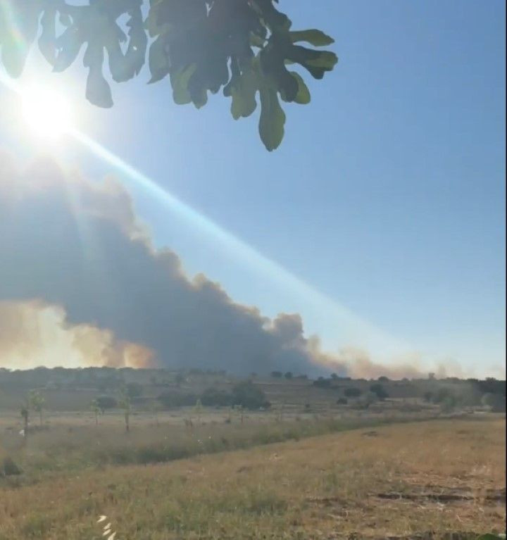Edirne'deki orman yangını büyüyor - Resim: 5