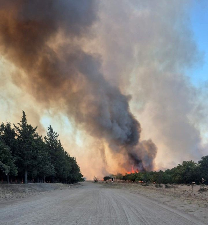 Edirne'deki orman yangını büyüyor - Resim: 1