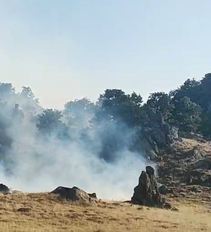 Bir orman yangını da Aksaray'da - Resim: 2