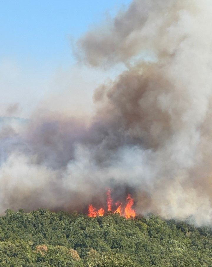 Kocaeli'de çıkan orman yangınına müdahale ediliyor - Resim: 2