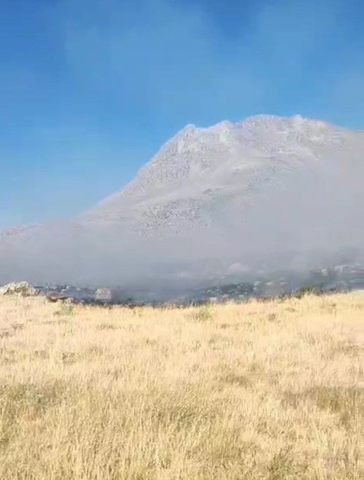 Bir orman yangını da Aksaray'da - Resim: 5