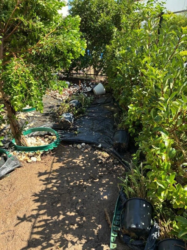 Bodrum’da su isale hattı patladı, yol trafiğe kapandı - Resim: 9