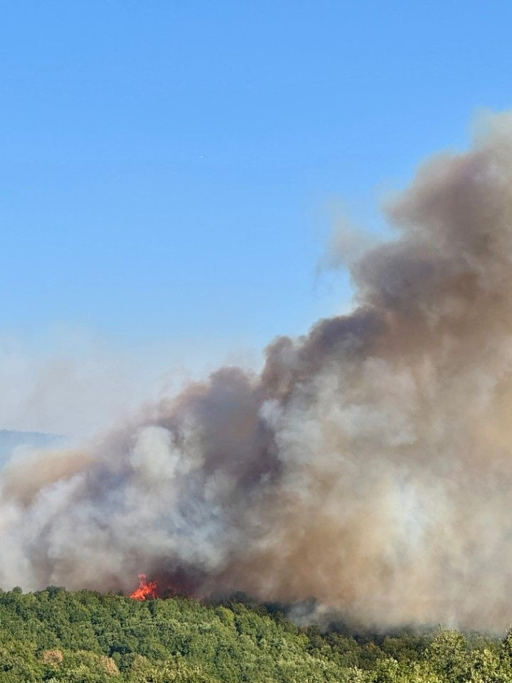 Kocaeli'de çıkan orman yangınına müdahale ediliyor - Resim: 3