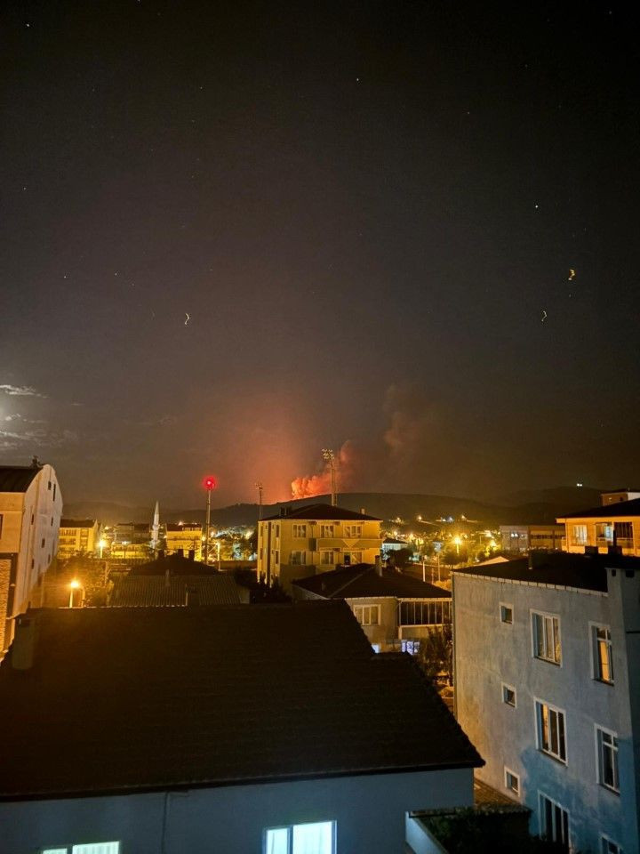 Çanakkale’de orman yangını çıktı - Resim: 3