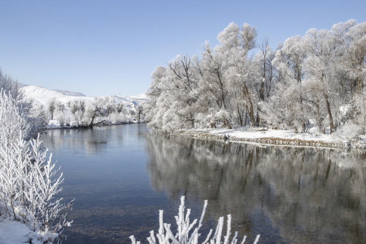 Kırağı tutan ağaçlar karla kaplı Munzur Vadisi Milli Parkı'na güzellik kattı