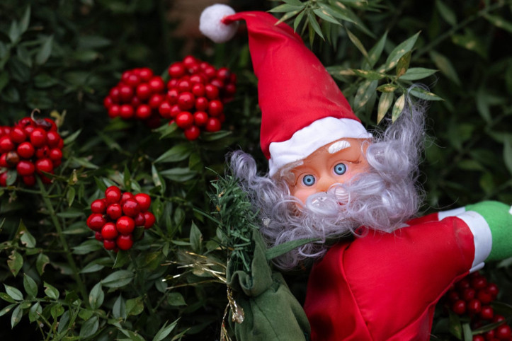 Kokina çılgınlığı