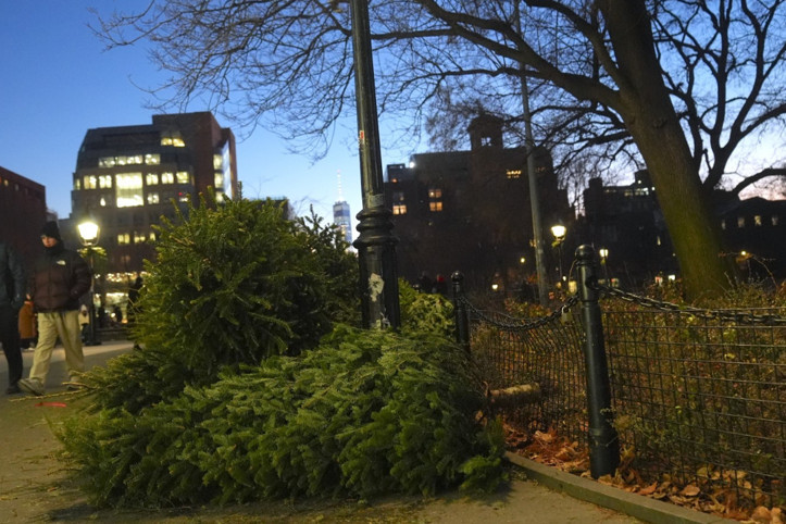 Noel sona erdi, çam ağaçları sokakları sardı