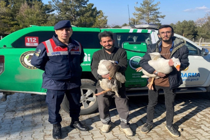 Kaz dövüşüne 72 bin 695 TL ceza