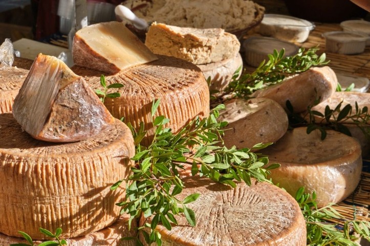 Dünyanın 'en tehlikeli' peyniri: Casu marzu