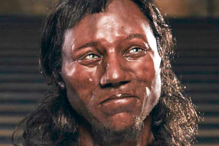 Siyah tenli Avrupalılar, Anadolu'dan göçün yardımıyla sarışın olmuş