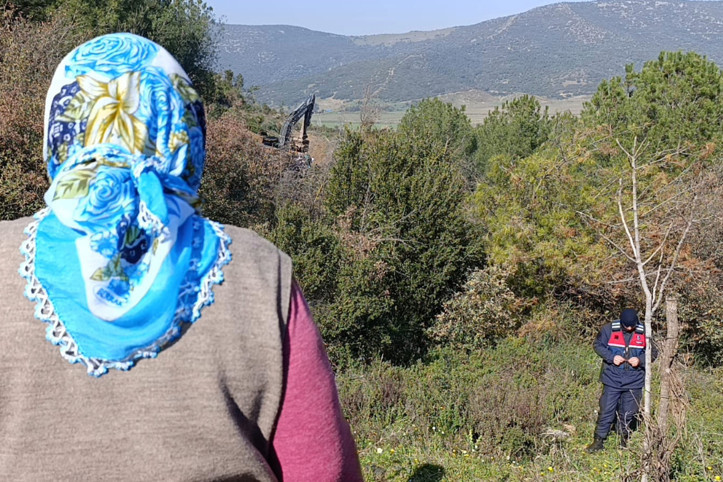 Ağaçlar katledildi, köylüler gözyaşlarını tutamadı: 'Bize bu katliamı izlettiriyorlar'
