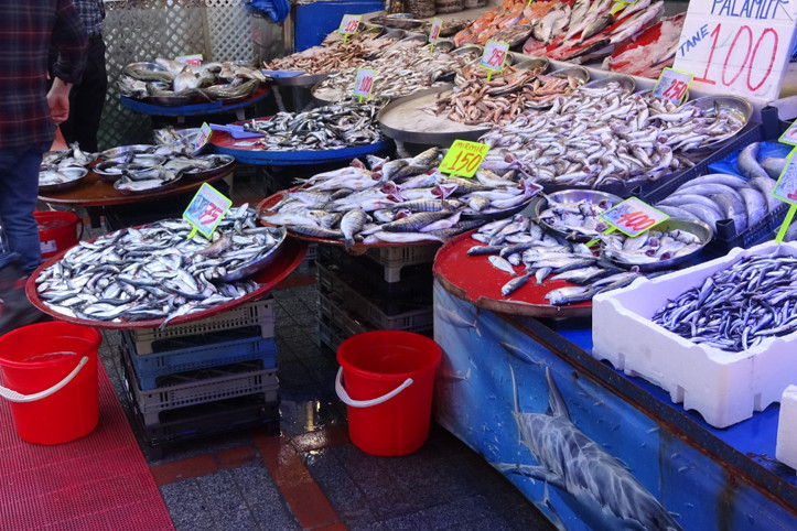 Deniz suyu ısındı, hamsi azaldı: Karadeniz'de tezgahlar Ege balıklarıyla doldu