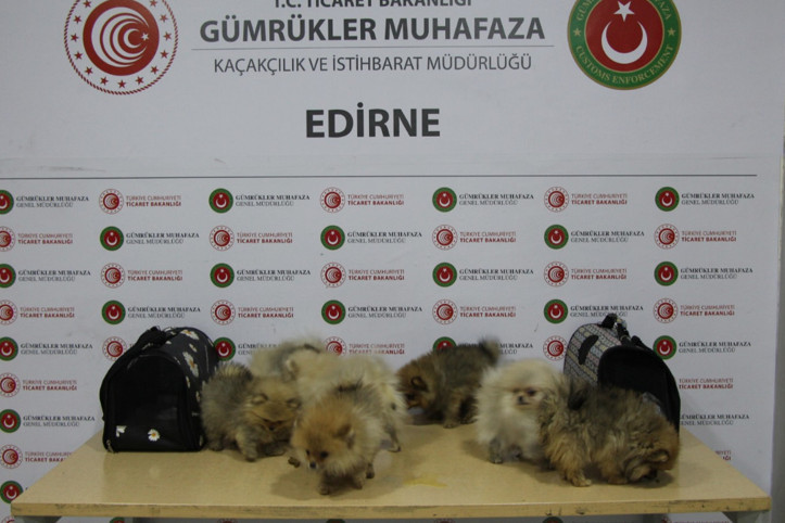 Gümrüklerde iki aylık bilanço: Değeri 8 milyardan fazla