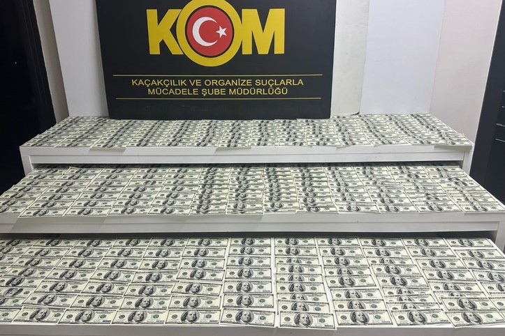 Milyonlarca sahte doları piyasaya süreceklerdi