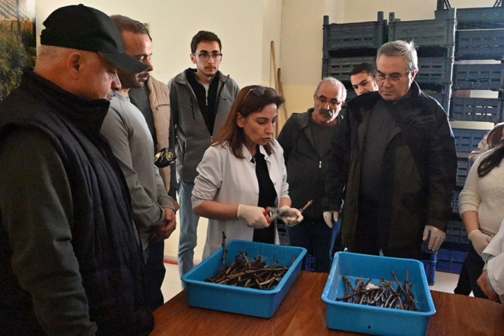 Tazelenme Üniversitesi: Sadece 55 yaş üstü girebiliyor