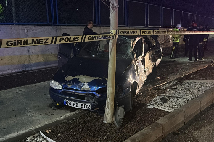 Ağaca çarptı, kurtarılamadı