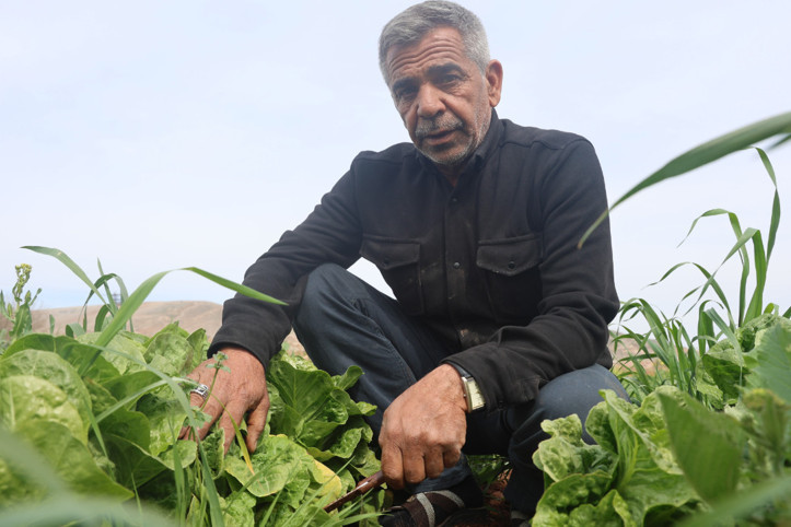 Çiftçi isyan etti: 'Tarlada 5 TL'ye veriyoruz, marketler 25 - 30 TL'ye satıyor'