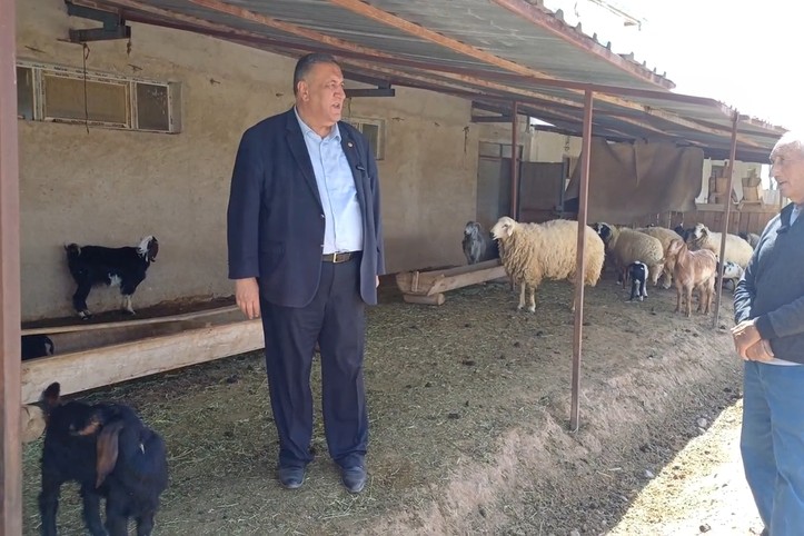 Hayvancılığın bitişinin hikayesi: Yem, zaman, nakliye...