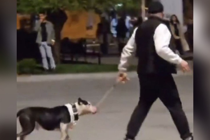 Köpeğini diğerlerinin üzerine salmıştı: Para cezası