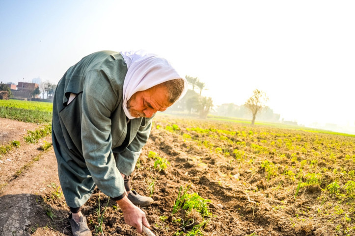 Bilim insanları: Bu egzersiz ömrü uzatıyor