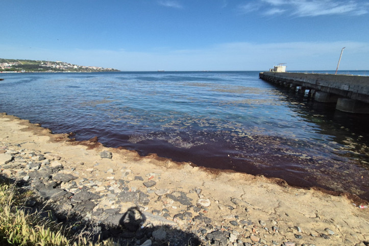 Tekirdağ'da denizin rengi karardı