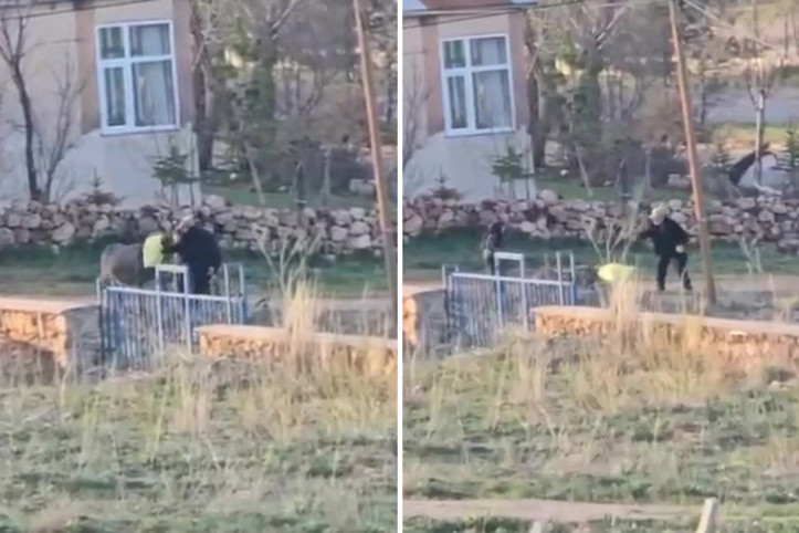 Başına çuval geçirdiği eşeği döve döve öldürdü