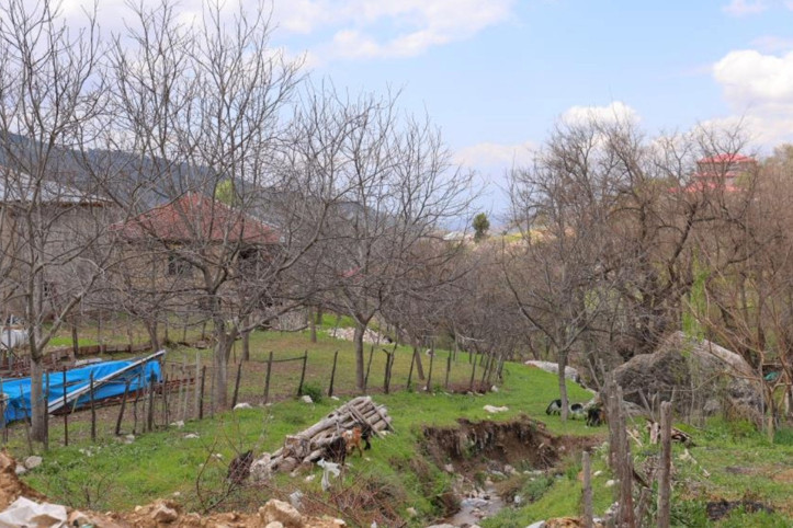 Zirai don planları mahvetti: 'En az iki yıl ciddi üretim olmaz'