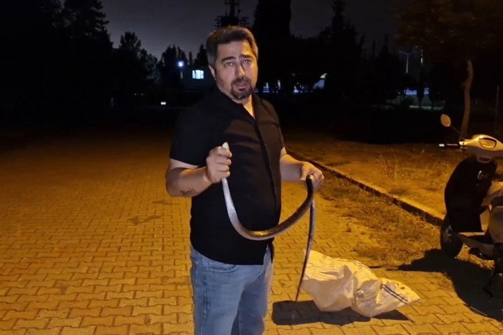 Çamaşır makinesine giren yılanı nasihat vererek gönderdi