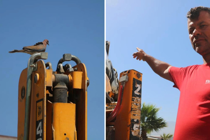 Yuva bozulmasın diye günlerdir işe çıkamıyor: '150 bin TL kaybım var'