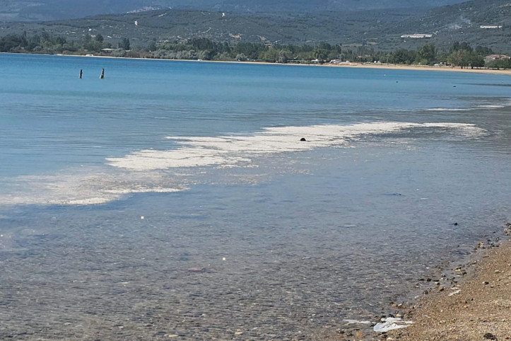 Omurgasızların sayısı artıyor