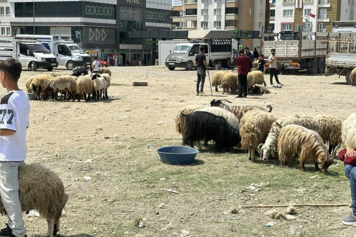 Van’da besiciler zarar etti: 'Hayvancılık bitme noktasına geldi'
