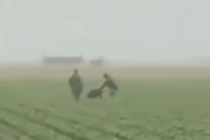 Trump'ın göçmen avı: Ajanlar tarım işçilerini kovalayıp gözaltına aldı