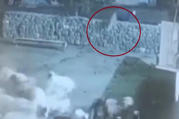 Kurdun yakaladığı koyun ölü taklidi yaparak kurtuldu