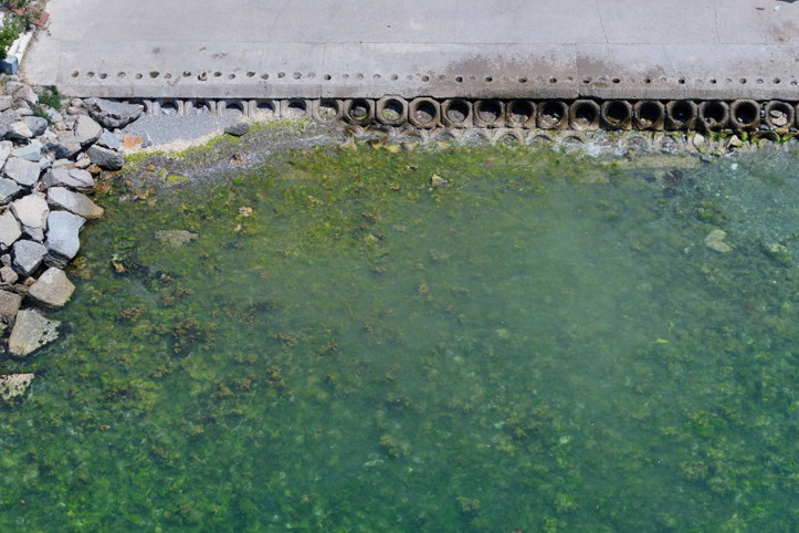 Marmara'da müsilaj istilası: Kirlilik azalmıyor, risk sürüyor