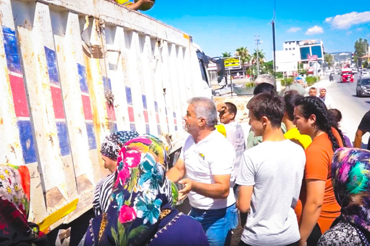 Belediye başkanı çiftçilerden aldı, vatandaşlara ücretsiz dağıttı