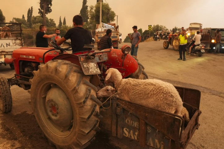 İzmir Ödemiş'te yangın felaketi: Köyler boşaltıldı