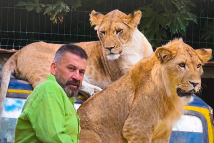 Öldürülen aslanın sahibi ilk kez konuştu: Sosyal bir hayvandı, anlam veremedik