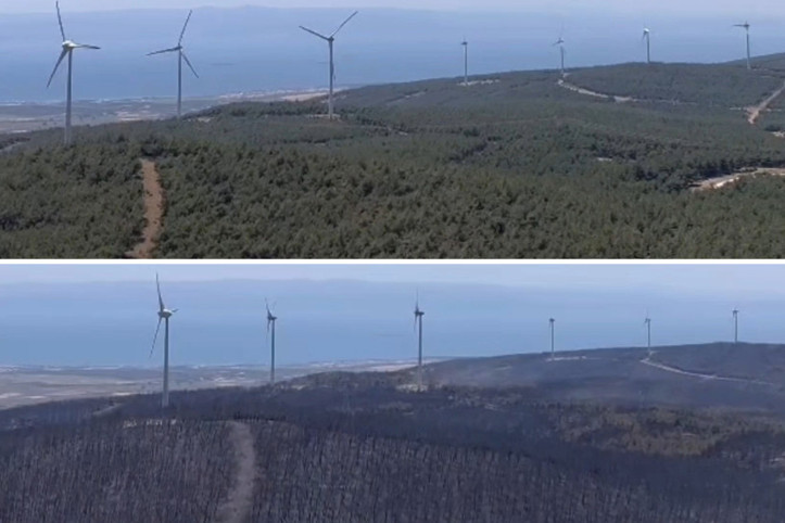 Burası birkaç gün önce ormandı! Şarköy'de yürek burkan görüntüler